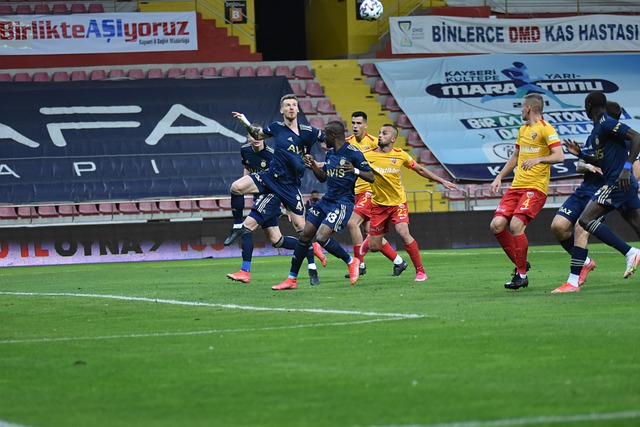 單純地依靠 單純地依靠