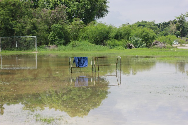 的关注不断 的关注不断