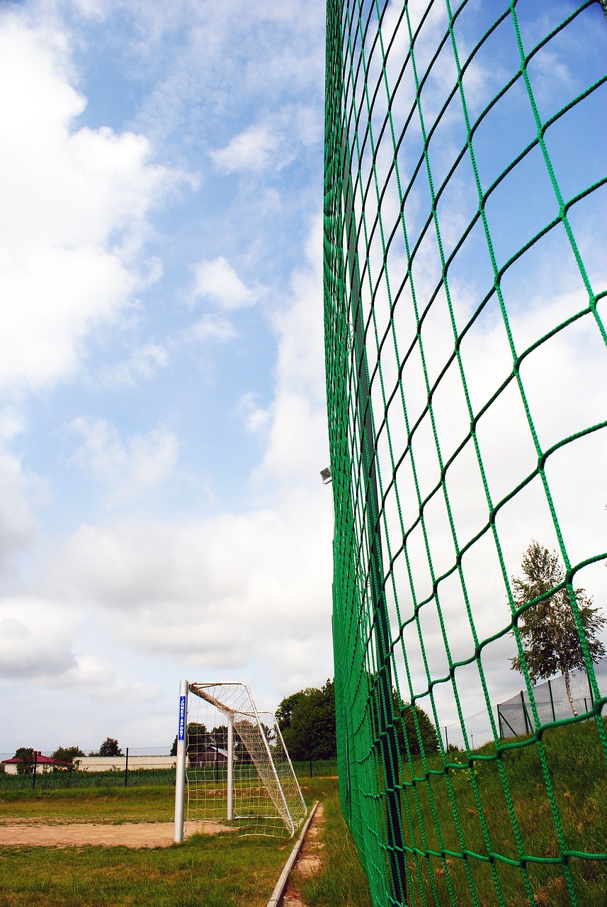 来的赛事 来的赛事