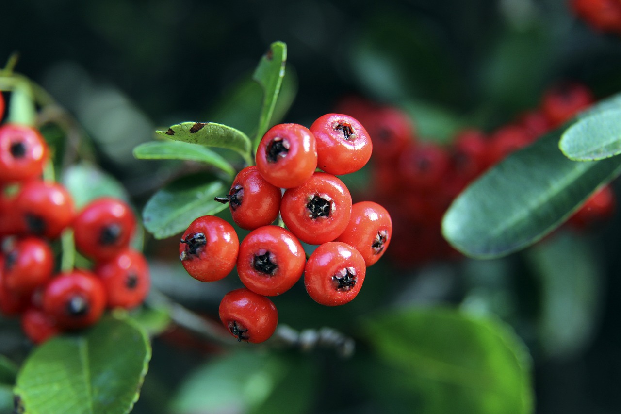 力要求极高 力要求极高