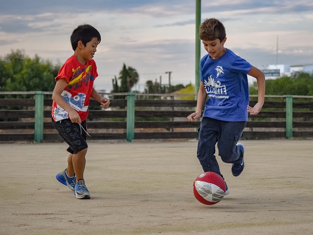 地区的合作 地区的合作
